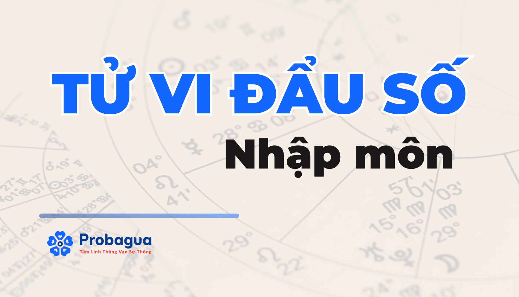 6666 Hướng Dẫn Tử Vi Nhập Môn